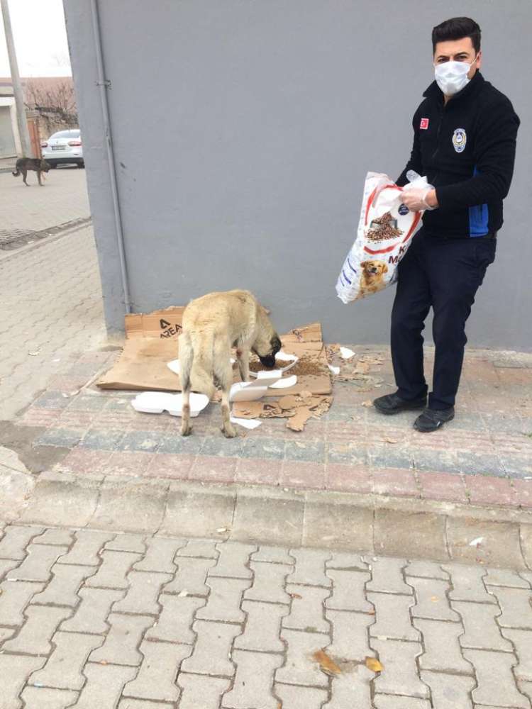 Sokağa Çıkma Kısıtlamasında Sokak Hayvanları Unutulmadı 